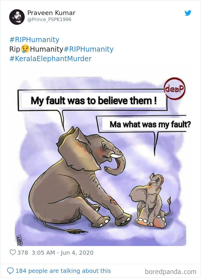 Nhiều người cho rằng cái chết của con voi cũng chính là dấu chấm hết cho lòng nhân ái của con người. (Nguồn: Boredpanda.com)