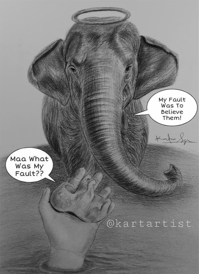 Con voi đã cố gắng tìm thức ăn mà không xâm phạm vào cuộc sống cũng như sinh mạng của con người. 'Lỗi của mẹ là đã tin tưởng ở con người'. 'Mẹ, vậy lỗi của con là gì?' (Nguồn: Boredpanda.com)