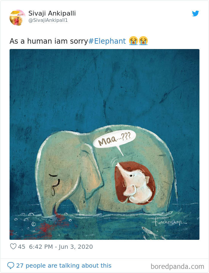 'Cho tôi xin lỗi, với tư cách một con người'. (Nguồn: Boredpanda.com)