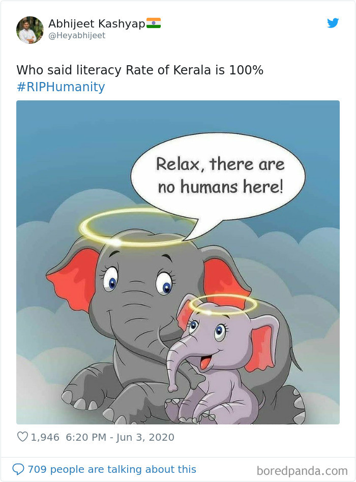 'Thư giãn đi con, không có con người ở đây.' (Nguồn: Boredpanda.com)