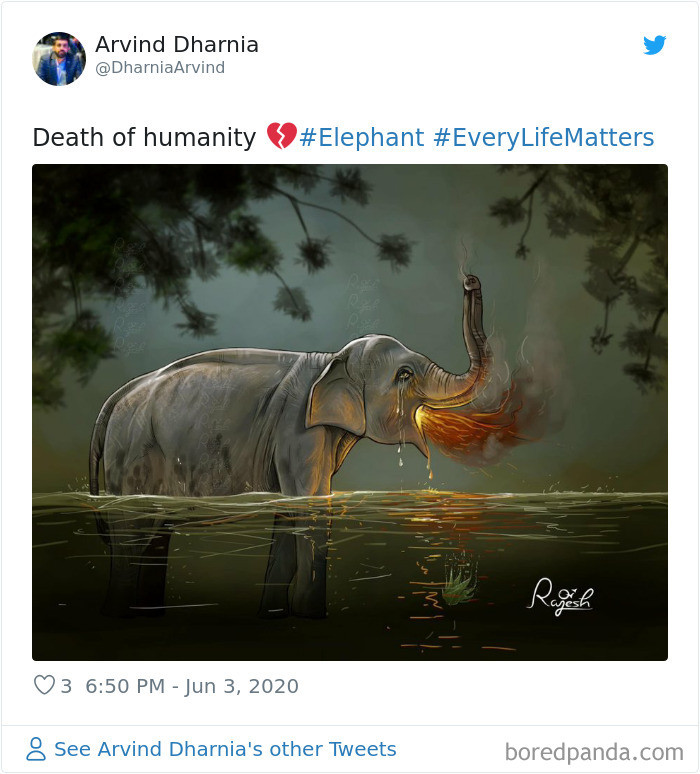 'Cái chết của nhân tính'. (Nguồn: Boredpanda.com)