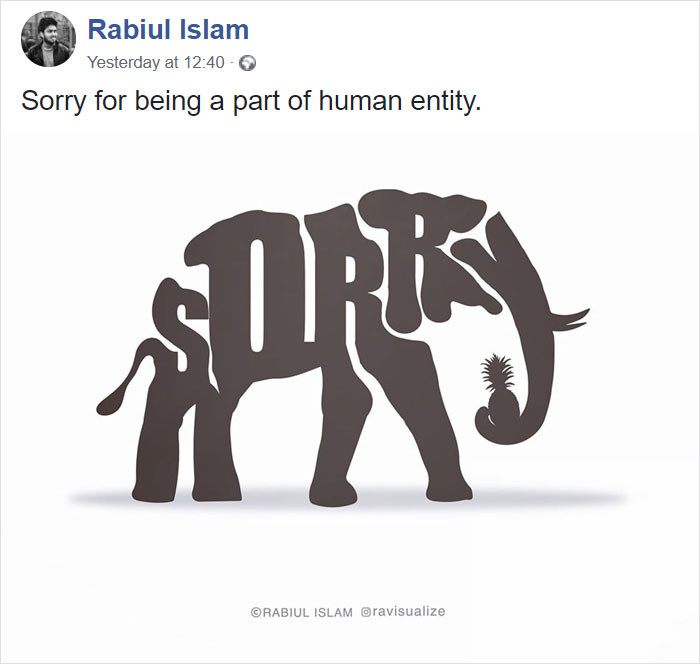 Lời xin lỗi đôi khi nói bao nhiêu cũng không đủ. (Nguồn: Boredpanda.com)