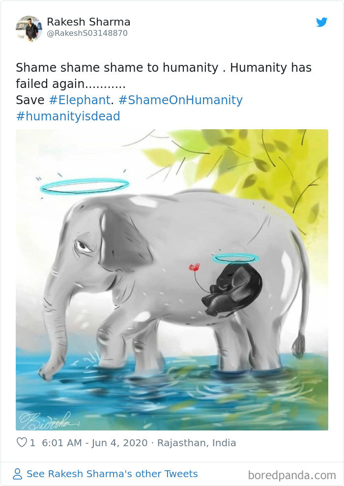 'Lại một lần nữa con người phải xấu hổ với cái gọi là lòng nhân ái. (Nguồn: Boredpanda.com)