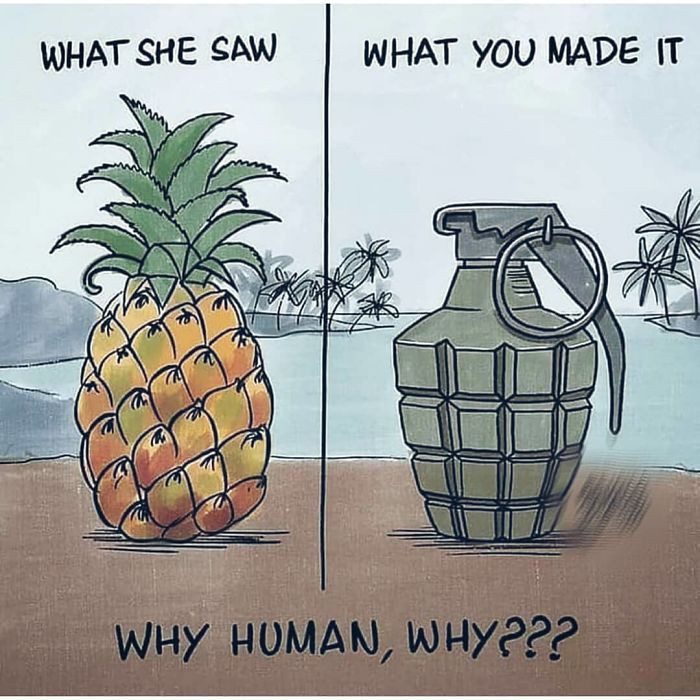 'Thứ chúng tôi thấy. Thứ con người tạo nên. Tại sao vậy, loài người?' (Nguồn: Boredpanda.com)