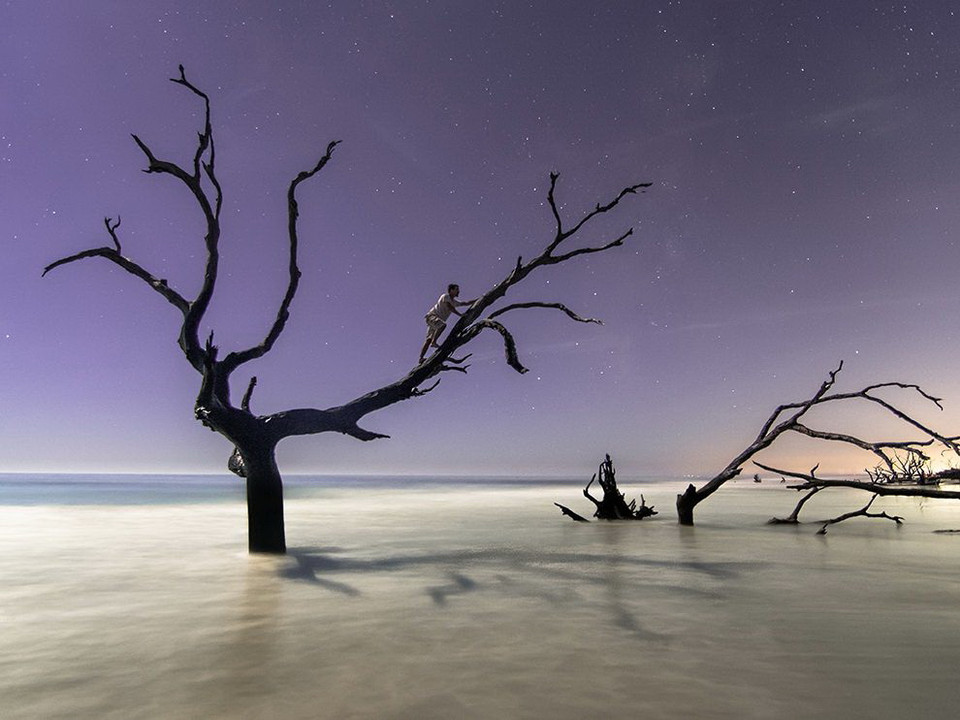 Nhiếp ảnh gia Ezekiel Ogle đã chụp được bức ảnh này khi người bạn của ông, Harry Carlin, trèo cây trên một vùng nước biển đang dâng ở đảo Bull, phía nam Carolina. (Nguồn: NatGeo)