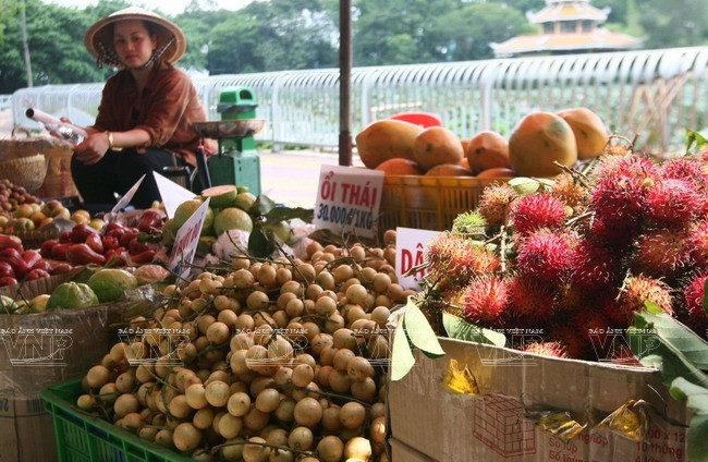 Các loại trái cây Nam Bộ được giới thiệu tại Liên hoan Ẩm thực Đất Phương Nam 2015. (Ảnh: Thông Hải/Báo ảnh Việt Nam)