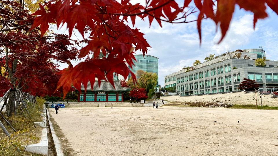  Một vài hình ảnh đầu mùa Thu trong khuôn viên trường Đại học Nho giáo cổ kính nhất nhì Hàn Quốc. (Ảnh: Anh Nguyên/Vietnam+)