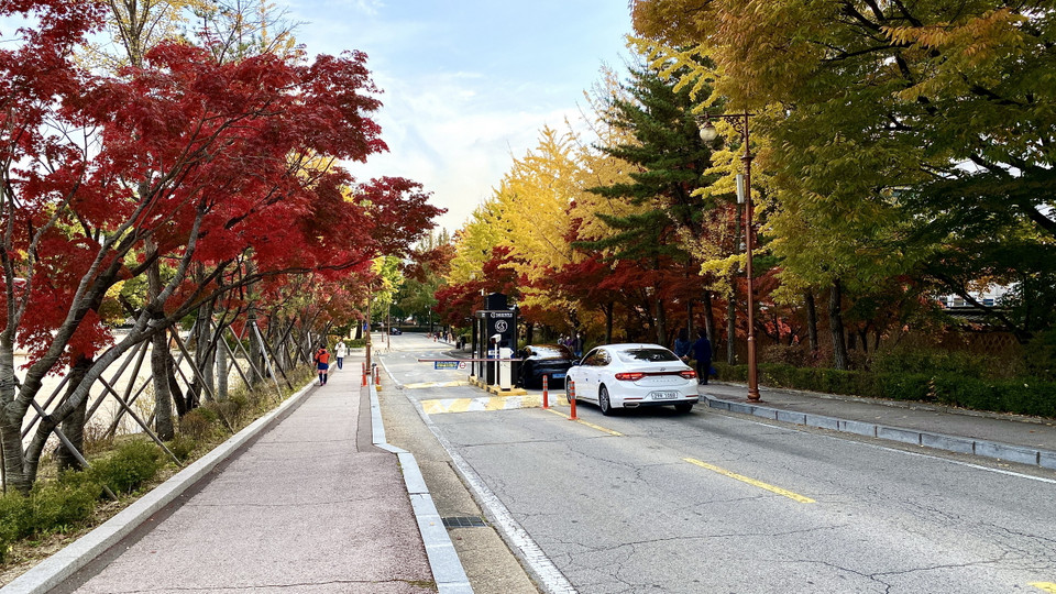 Lối vào Đại học Sungkyungkwan. (Ảnh: Anh Nguyên/Vietnam+)