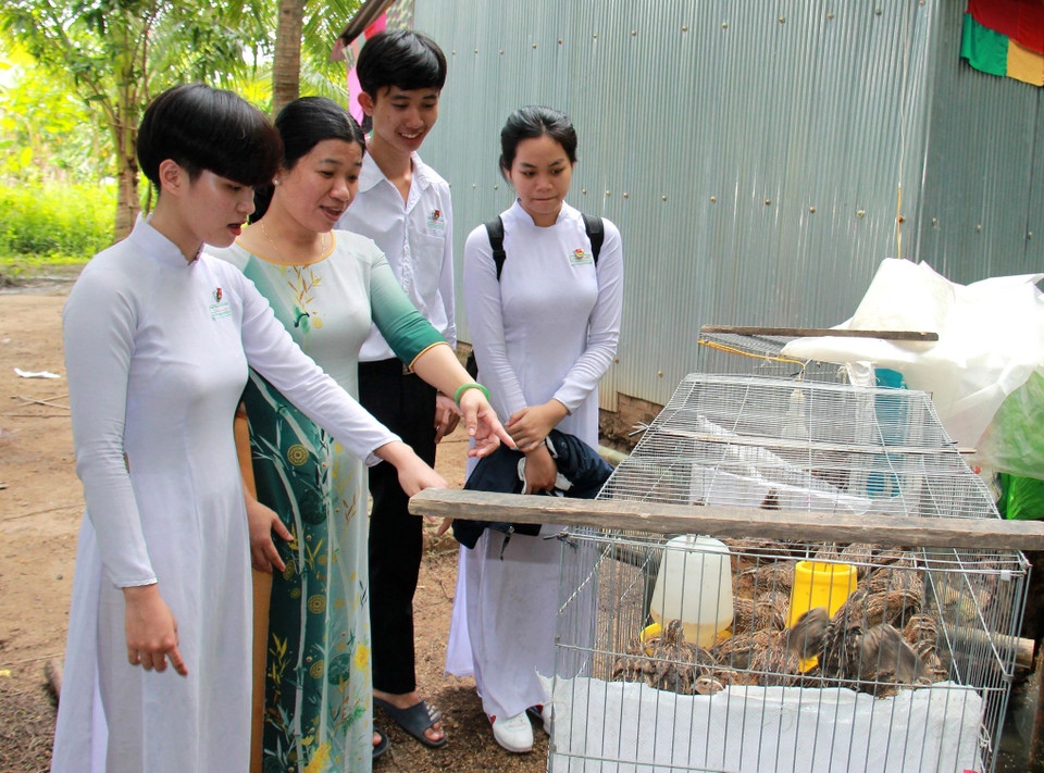 Cô Bùi Lê Xuân Trang, giáo viên chủ nhiệm lớp 11A1, Trường Trung học Phổ thông Vĩnh Xuân (huyện Trà Ôn, tỉnh Vĩnh Long) là cầu nối giúp học sinh đoàn kết để đạt kết quả cao trong học tập. Đặc biệt, đối với học sinh cá biệt, cô cảm hóa bằng chính sự yêu thương của bản thân, cũng như khích lệ tình bạn chân thành cùng sự quan tâm, sẻ chia của tập thể lớp, giúp các em mở lòng với bạn bè, không còn thái độ tự ti. Trong ảnh: Cô Bùi Lê Xuân Trang thăm chuồng nuôi chim cút của em Nguyễn Thái Quyên (trái), hiện không còn là học sinh cá biệt của lớp. (Ảnh: Lê Thúy Hằng/TTXVN)