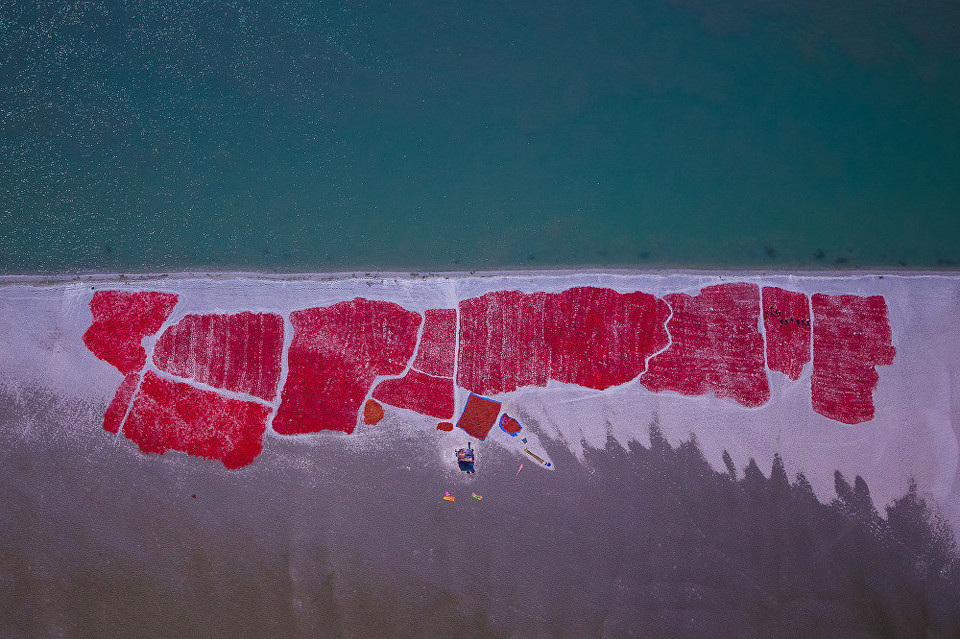 Susom đặt tên bức ảnh này là 'Đất ớt'. (Nguồn: Dailymail)