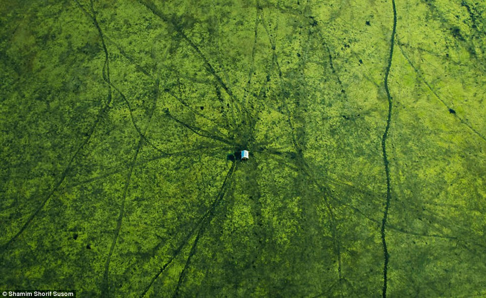 Bangadesh được biết đến với những ngôi làng nhỏ nơi vùng quê thanh bình. (Nguồn: Dailymail)