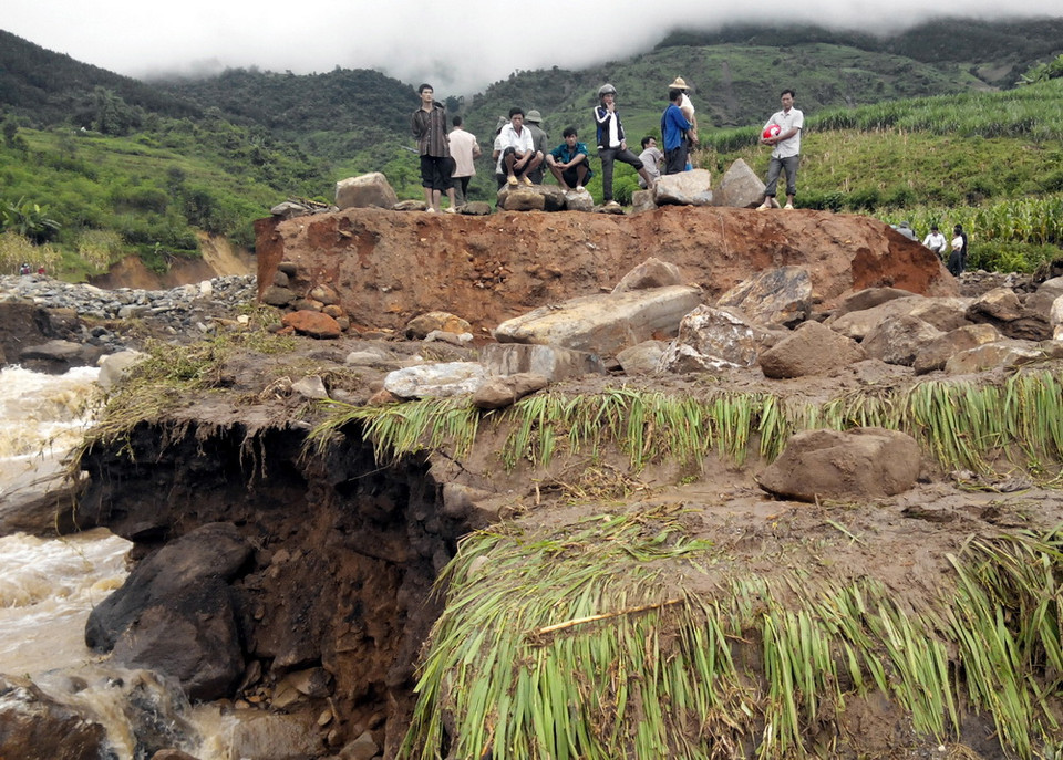 Lúa ở bản Thác Tình, thị trấn Bình Lư bị lũ tàn phá. (Ảnh: Nguyễn Công Hải/TTXVN)