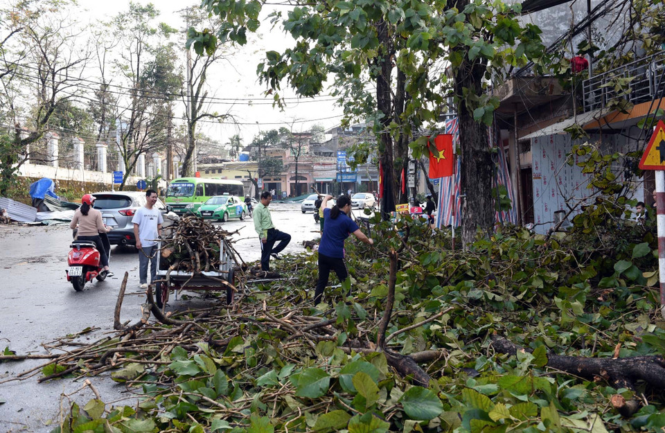 Nhiều cây xanh ở thành phố Tuyên Quang bị đổ do ảnh hưởng của mưa lớn và gió mạnh. (Ảnh: Quang Cường/TTXVN)