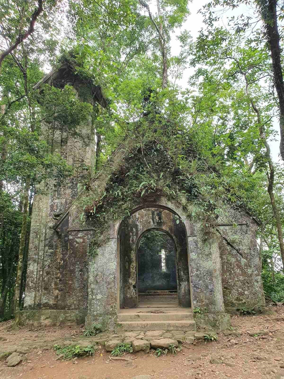 Phế tích Nhà thờ ở độ cao 800m trong Vườn Quốc gia Ba Vì. (Ảnh: TTXVN phát)