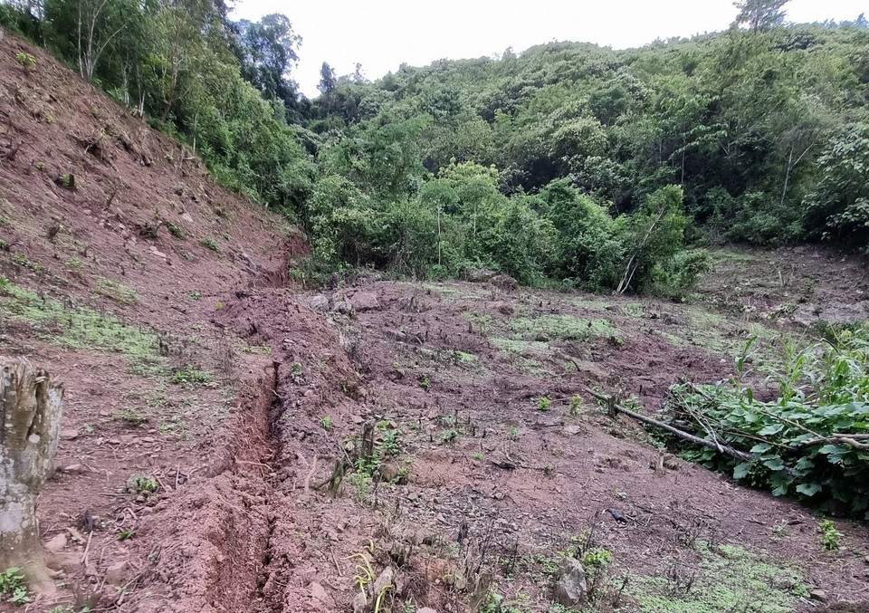 Vết nứt của cung trượt sạt tạo nên một khe lớn chạy theo đường bình độ trên đồi, chia cắt thành hai mảng địa chất có độ chênh lệch khoảng 1m. (Ảnh: TTXVN phát)