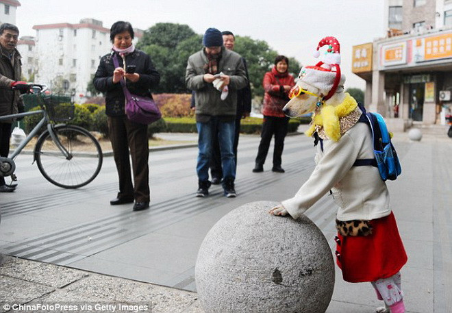 Xiaoniu thường mặc áo khoác, váy và đi kèm phụ kiện như mũ, khẩu trang, kính. (Nguồn: Rex)