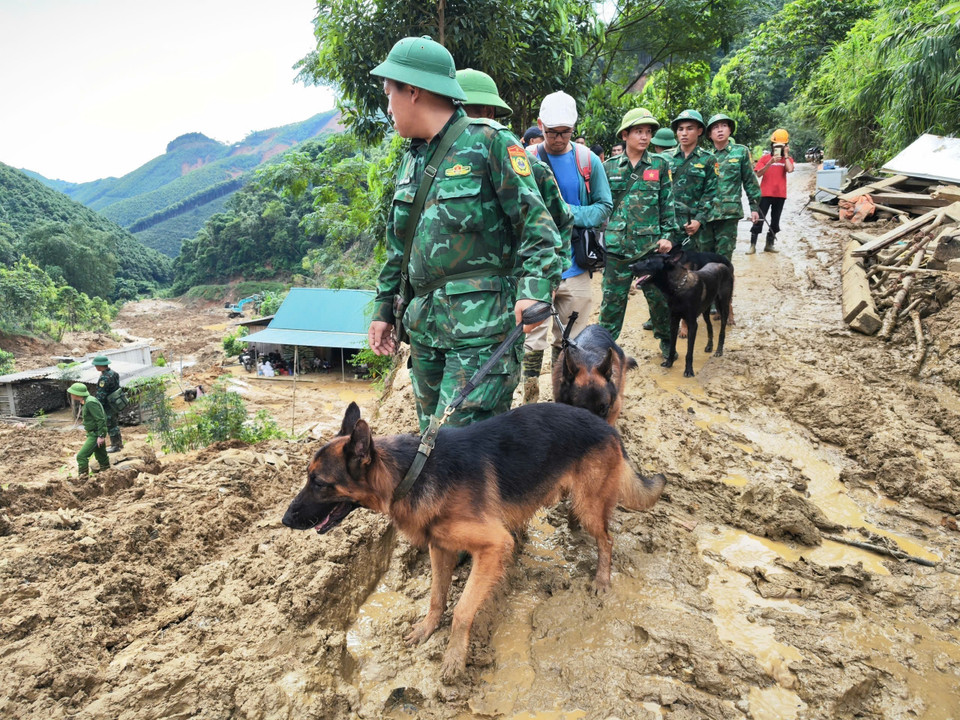 Quân đội đưa chó nghiệp vụ vào hiện trường vụ sạt lở để tìm kiếm các nạn nhân mất tích. (Ảnh: Nam Sương/TTXVN)