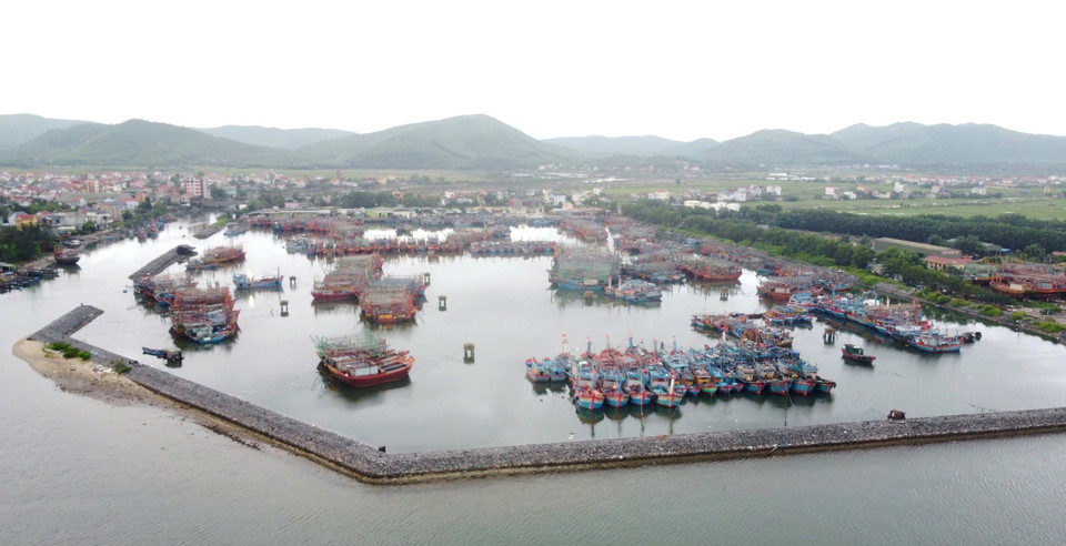 Đến chiều 18/9, đã có 7.309/7.313 phương tiện tàu thuyền trên địa bàn tỉnh Quảng Bình neo đậu tại các bến, cảng. (Ảnh: TTXVN phát)