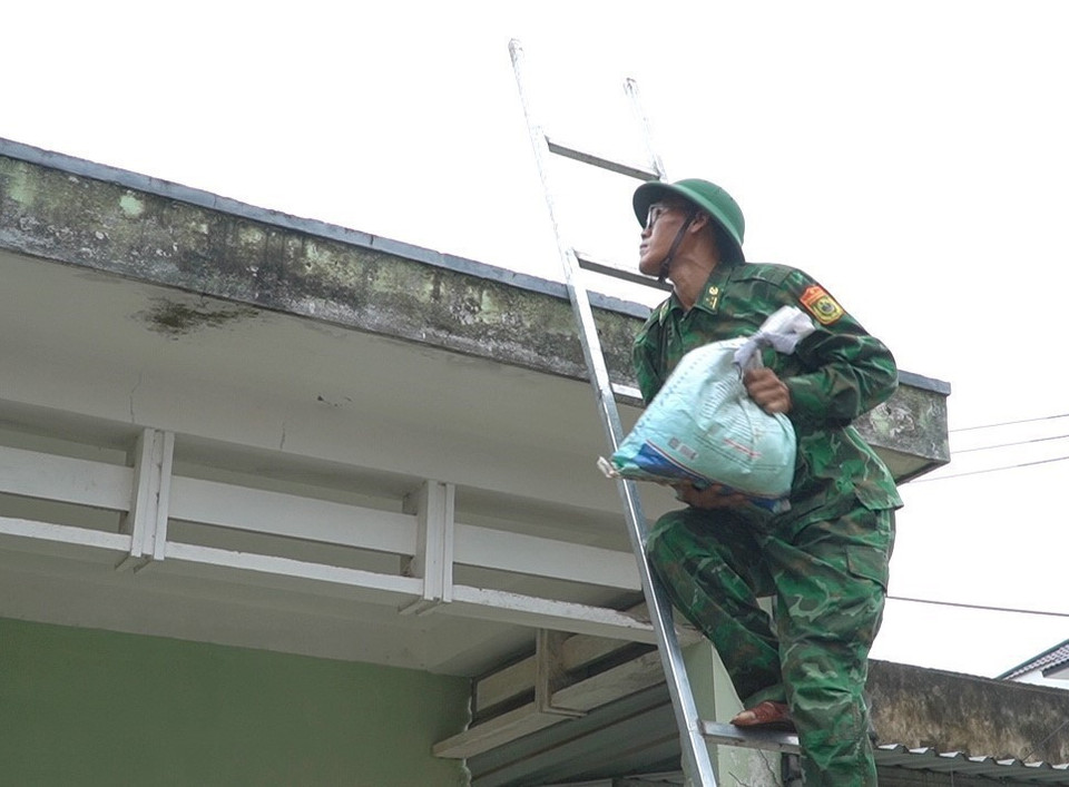 Lực lượng Bộ đội Biên phòng hỗ trợ người dân chủ động chằng chống nhà cửa tại xã Triệu An, huyện Triệu Phong (Quảng Trị). (Ảnh: Thanh Thuỷ/TTXVN)