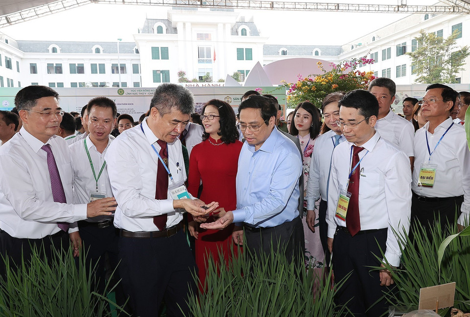 Thủ tướng Phạm Minh Chính thăm các gian hàng trưng bày sản phẩm nông nghiệp. (Ảnh: Dương Giang/TTXVN)