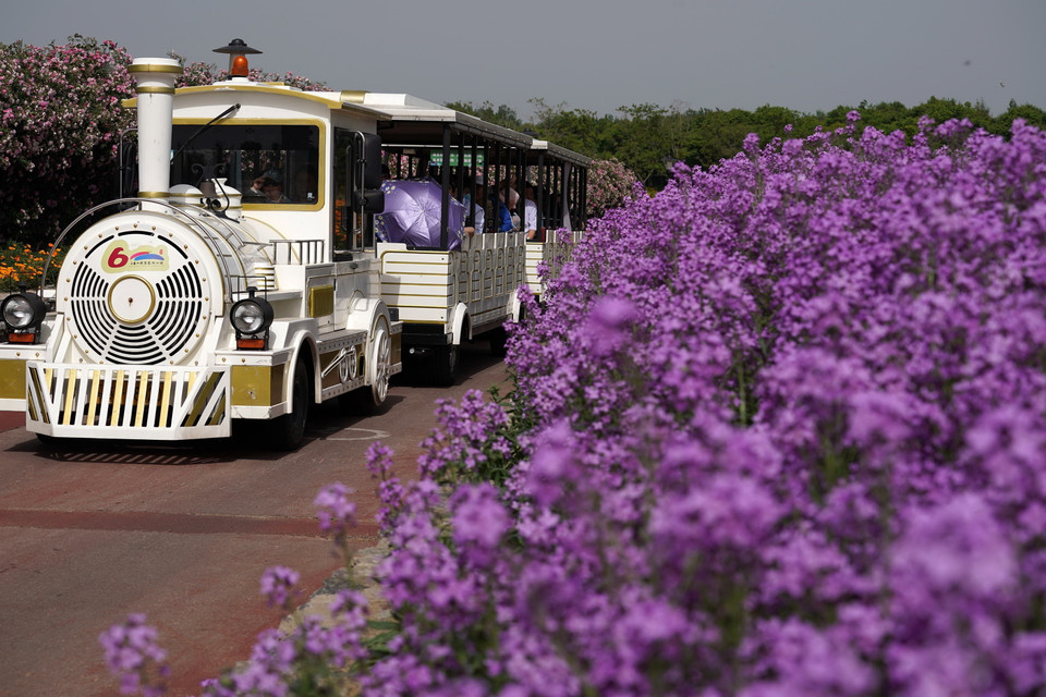 Du khách chiêm ngưỡng vẻ đẹp các loài hoa tại Tú Thiên, tỉnh Giang Tô, Trung Quốc. (Ảnh: THX/TTXVN)