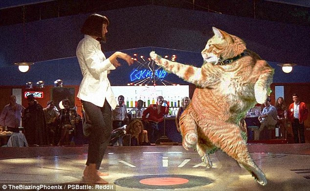 Tham gia một điệu nhảy đặc biệt. (Nguồn: Reddit)