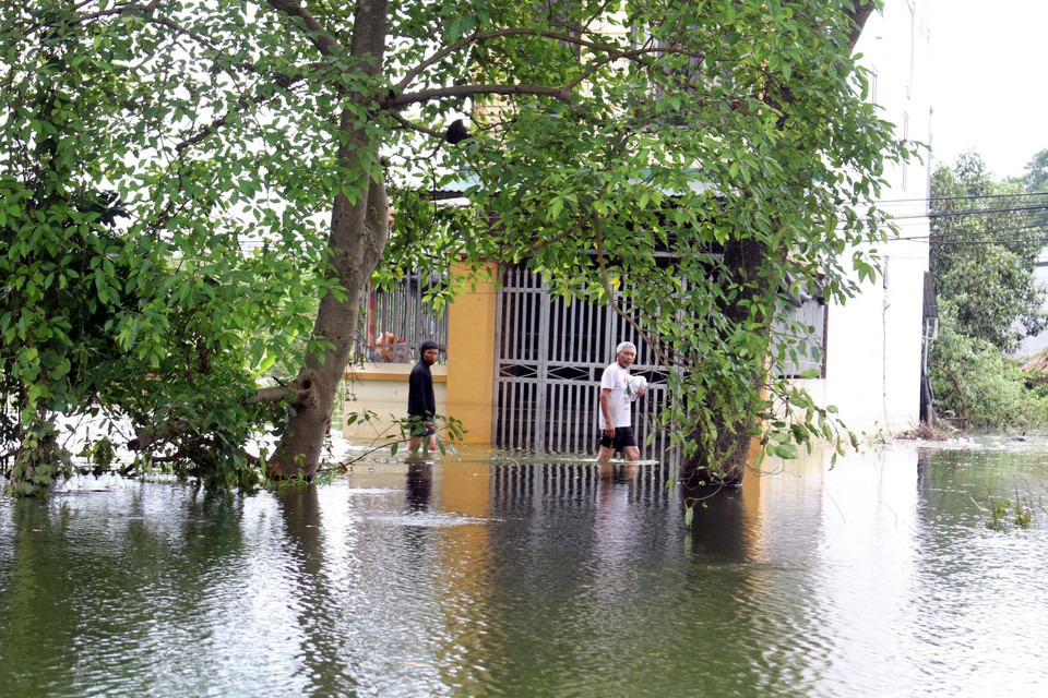Ngập lụt ở xã Nam Phương Tiến, huyện Chương Mỹ (Hà Nội). (Ảnh: Nguyễn Văn Cảnh/TTXVN)
