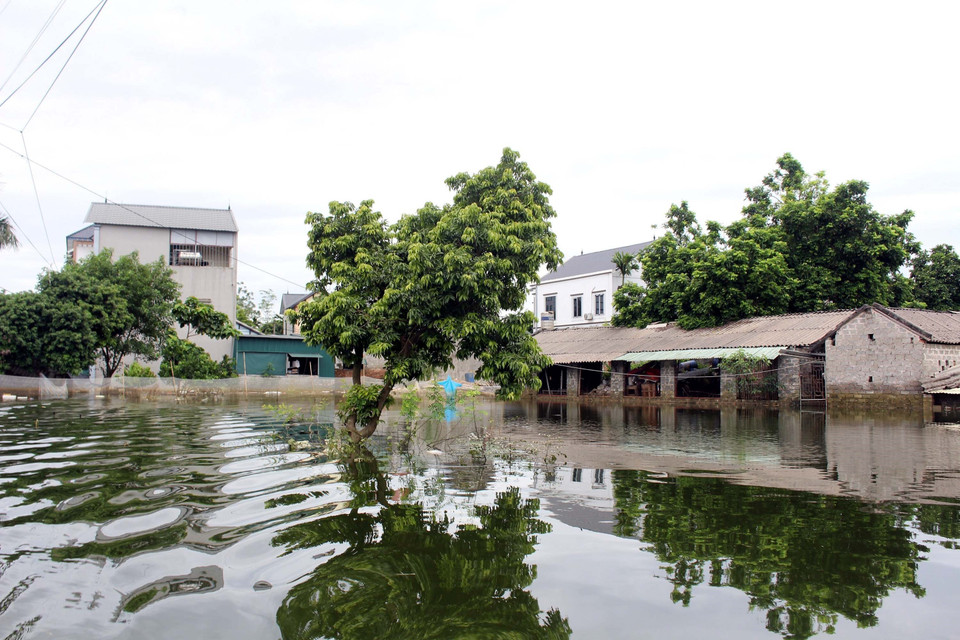 Ngập lụt ở xã Nam Phương Tiến, huyện Chương Mỹ (Hà Nội). (Ảnh: Nguyễn Văn Cảnh/TTXVN)