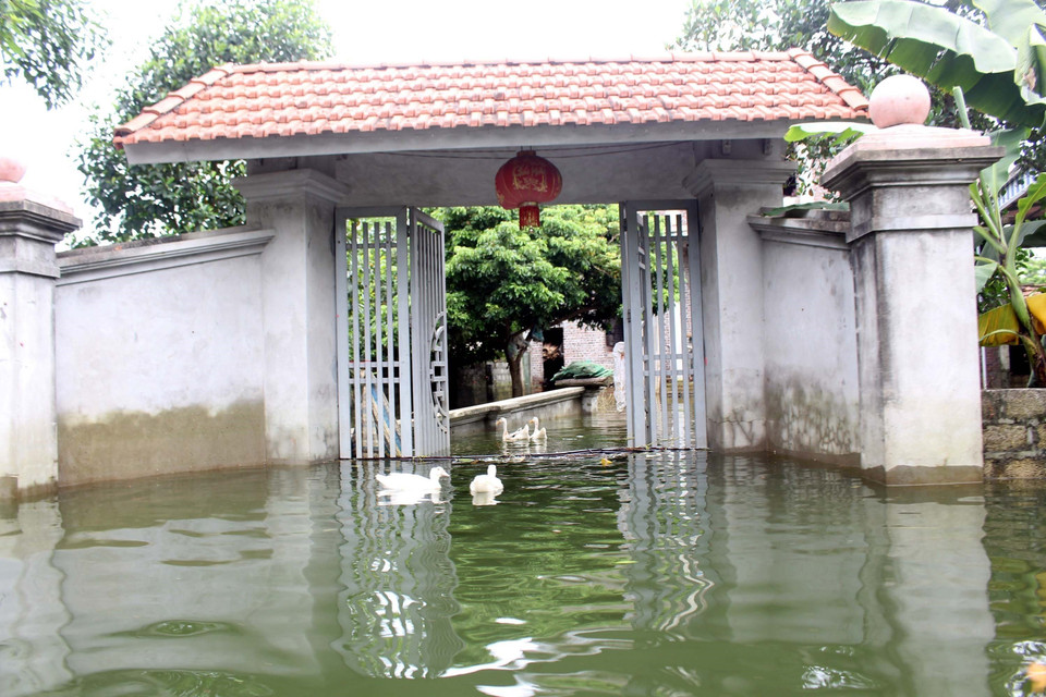 Ngập lụt ở xã Nam Phương Tiến, huyện Chương Mỹ (Hà Nội). (Ảnh: Nguyễn Văn Cảnh/TTXVN)