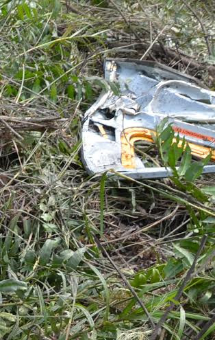 (Ảnh: CTV/Vietnam+)