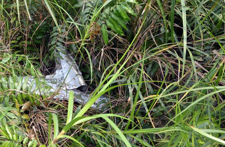 (Ảnh: CTV/Vietnam+)