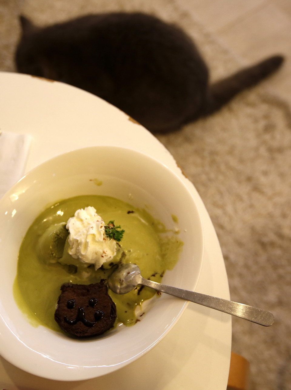 Món kem kèm bánh Brownie tại tiệm càphê mèo Purr Cat Cafe Club ở Bangkok, Thái Lan. Tại những quán càphê như thế này, khách hàng phải tuân thủ theo những quy tắc khi chơi đùa với những chú mèo. (Nguồn: EPA)