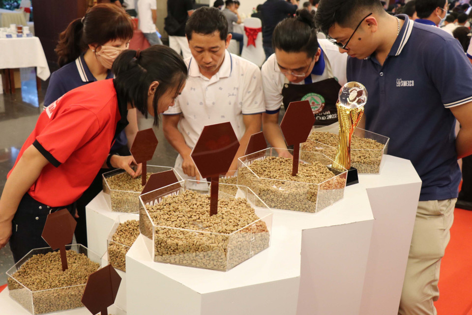 Công ty TNHH một thành viên Minudo Farm - Care, tỉnh Đắk Lắk giới thiệu càphê đặc sản có giá trị xuất khẩu cao. (Ảnh: Anh Dũng/TTXVN)