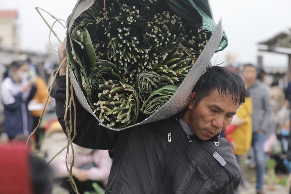 Lá dong để gói bánh chưng luôn là mặt hàng có mặt trong phiên chợ Vé cuối năm. (Ảnh: Minh Quyết/TTXVN)
