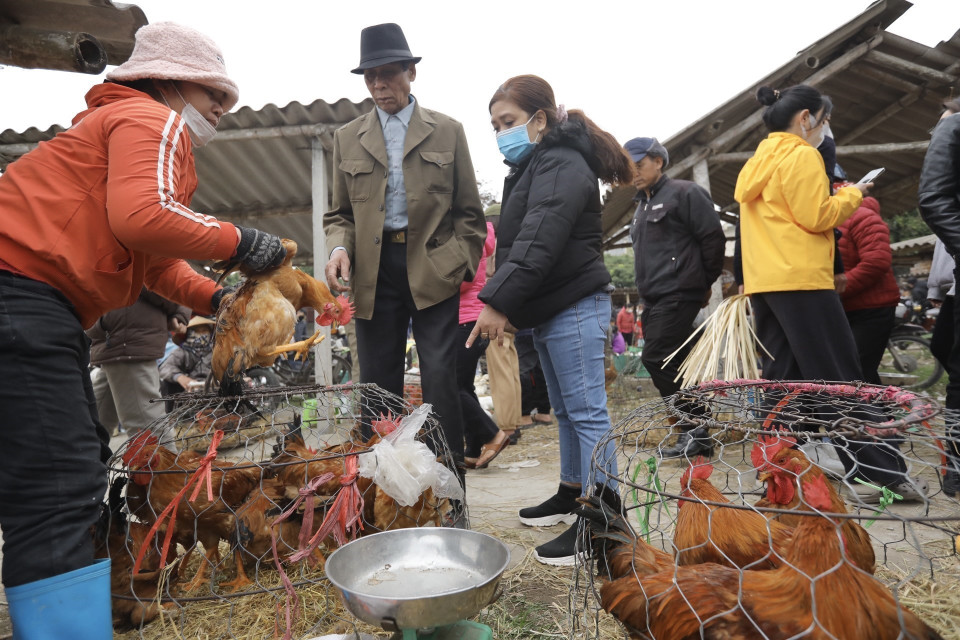 Người dân đi chợ mua sắm, chuẩn bị cho ngày Tết. (Ảnh: Minh Quyết/TTXVN)
