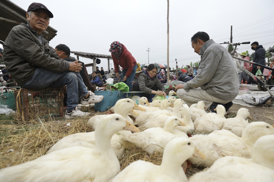Chợ Vé họp theo phiên, mỗi tháng vào các ngày 3, 8, 13, 18, 23 và 28 âm lịch (Ảnh: Minh Quyết/TTXVN)