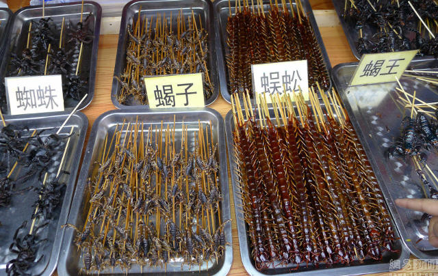 Những con rết to dài, vàng óng là tâm điểm của bức ảnh. (Nguồn: shanghaiist.com)