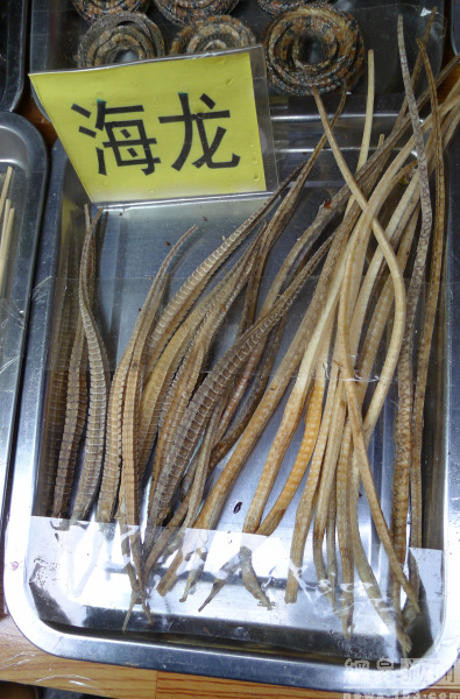 Những con rắn khô. (Nguồn: shanghaiist.com)