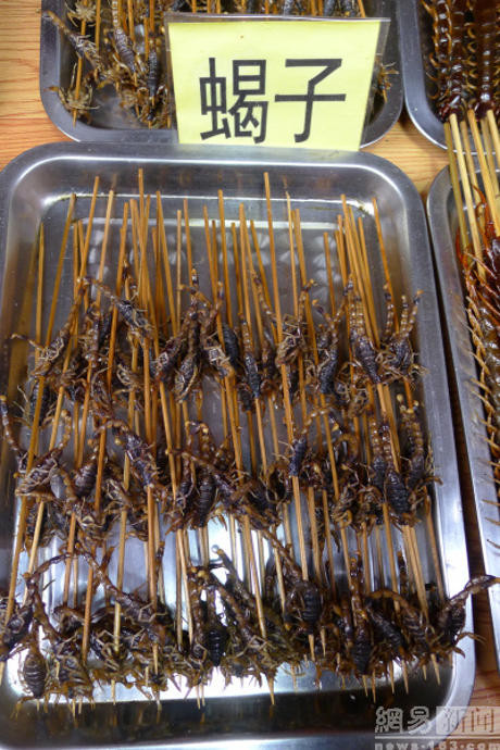 Để xâu được những xiên côn trùng như thế này cũng là một kỳ công. (Nguồn: shanghaiist.com)