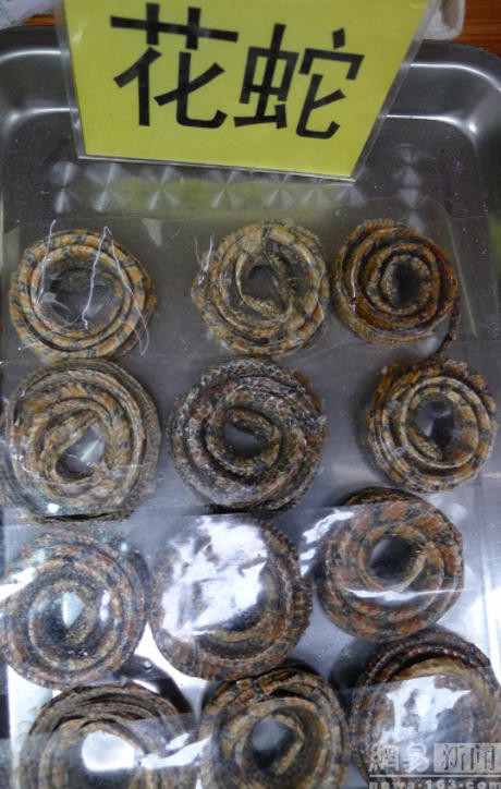 Những vòng rắn khô trông như những chiếc vòng đeo tay ấn tượng. (Nguồn: shanghaiist.com)