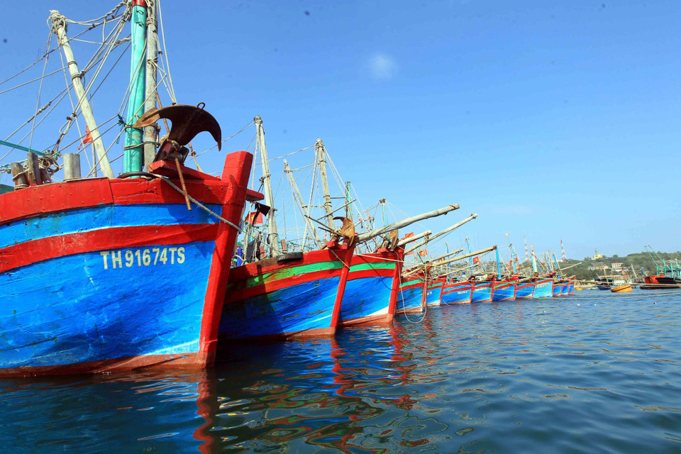 Tàu thuyền đậu tại âu cảng Bạch Long Vĩ. (Ảnh: An Đăng/TTXVN)