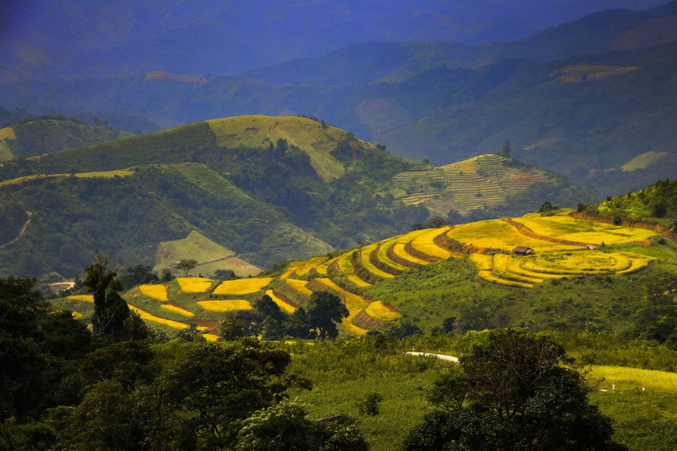 Ruộng bậc thang ở xã Pú Nhi, huyện Điện Biên Đông. (Ảnh: Xuân Tư/TTXVN)
