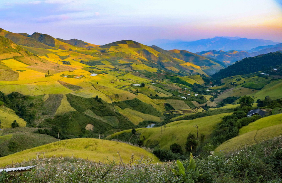 Ruộng bậc thang nhuộm vàng các sườn đồi. (Ảnh: Xuân Tư/TTXVN)