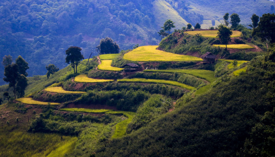 Những thửa ruộng bậc thang là đặc trưng ở huyện vùng cao như Điện Biên Đông. (Ảnh: Xuân Tư/TTXVN)