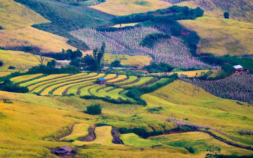 Ruộng bậc thang ở xã Phì Nhừ, huyện Điện Biên Đông. (Ảnh: Xuân Tư/TTXVN)