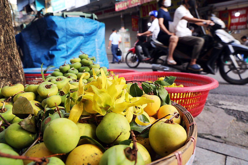 Quả thị và hoa dẻ là đặc sản của Hà Nội mỗi khi Thu về. (Ảnh: Lâm Khánh/TTXVN)