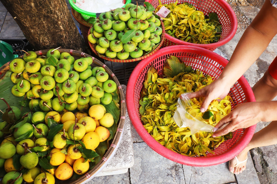 Một sạp bán quả thị và hoa dẻ trên phố Hàng Khoai, Hoàn Kiếm (những thứ chỉ có mỗi độ thu về). (Ảnh: Lâm Khánh/TTXVN)