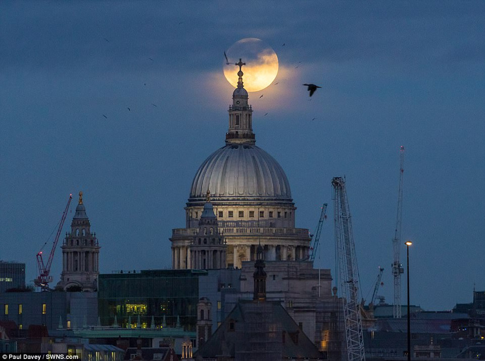 Trăng sói xuất hiện trên nóc tòa nhà gần cầu Hungerford, London, Anh. (Nguồn: SWNS)