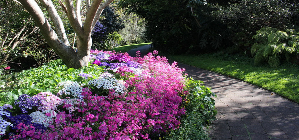 Những lối mòn len giữa hoa lá và ríu rít tiếng chim. (Ảnh: Sao Băng/Vietnam+)