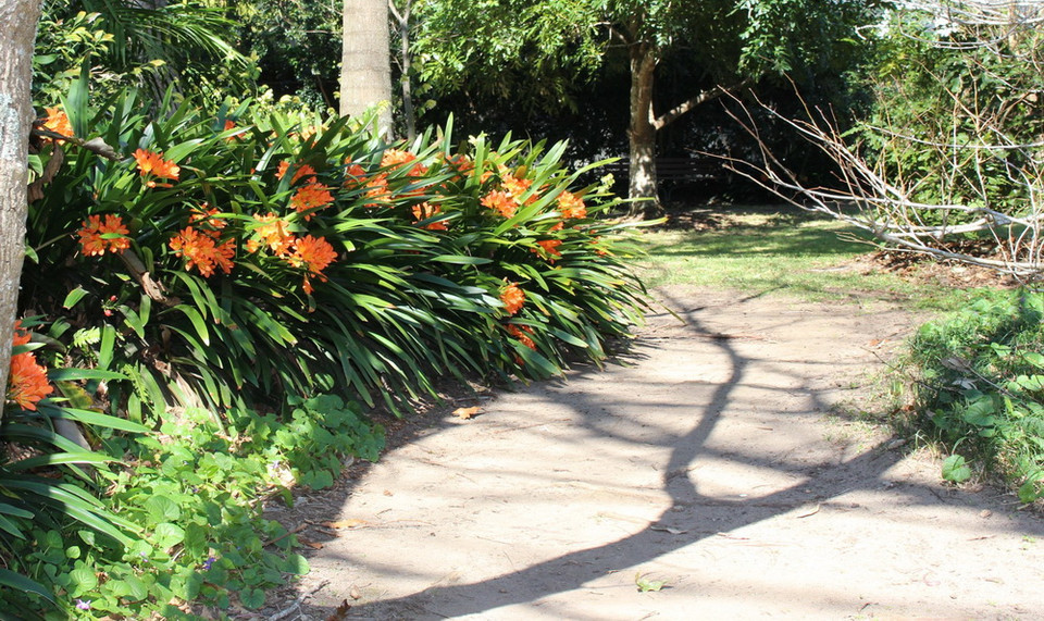 (Ảnh: Sao Băng/Vietnam+)